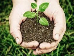 Aprende a ser un agricultor ecológico