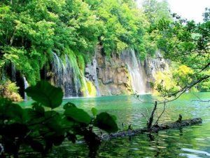 Técnico en Gestión y Organización de los Recursos Naturales