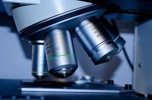 Biotecnología Alimentaria