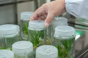 Máster Universitario en Biotecnología Cuantitativa