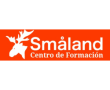 curso de japonés en Centro de Formación Småland