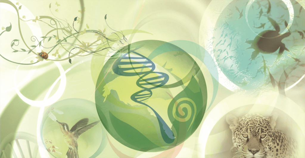 Beneficios de la medicina bioenergética