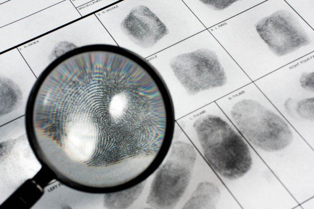 Cursos especializados en criminología